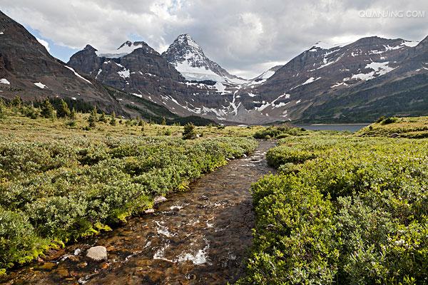 Ning在加拿大队比赛中赛况扑朔迷离，败北引发热议！